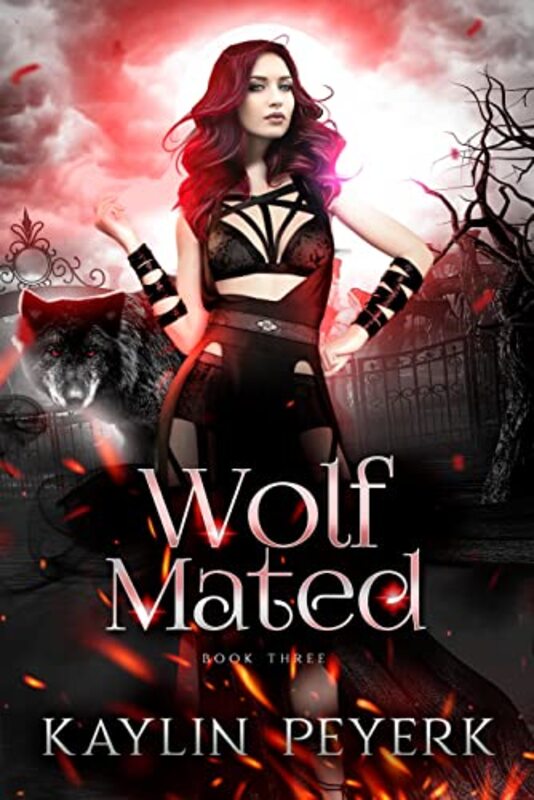 Kaylin Peyerk book cover