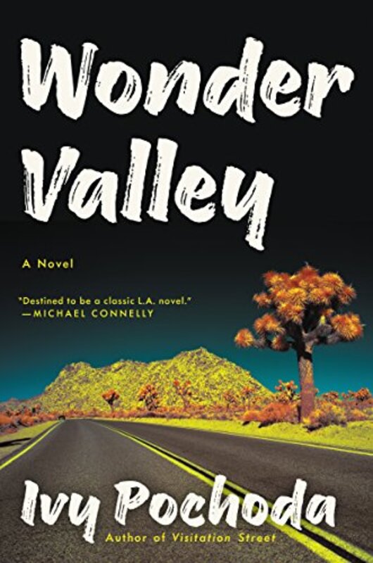 Ivy Pochoda book cover