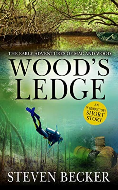 Book cover for "Wood's Ledge" by Steven Becker