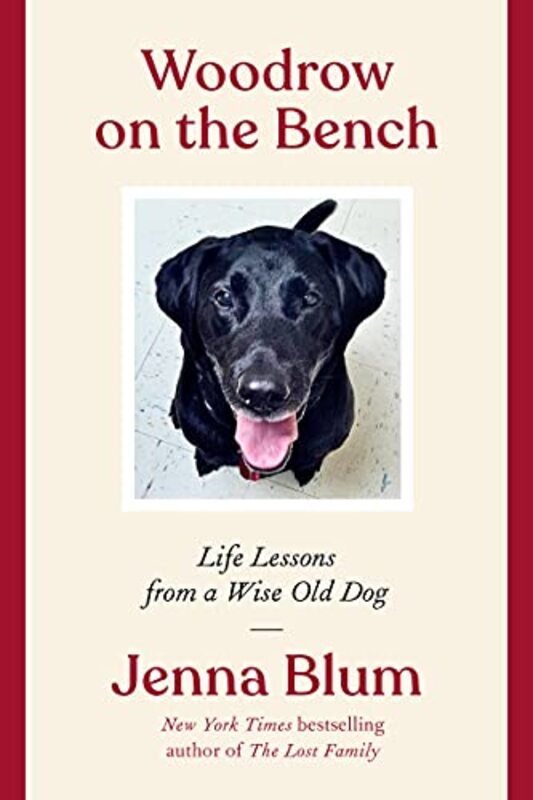 Book cover for "Woodrow on the Bench" by Jenna Blum