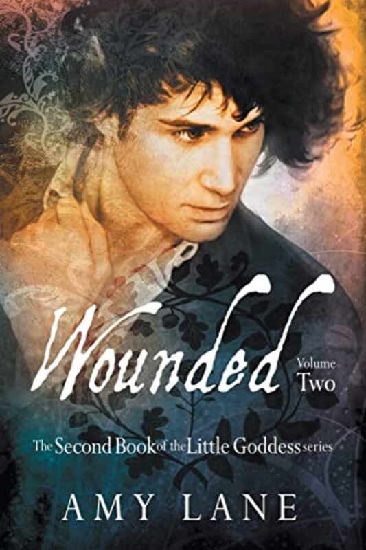 Book cover for "Wounded, Vol. 2" by Amy Lane