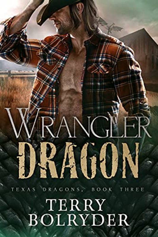 Book cover for "Wrangler Dragon" by Terry Bolryder
