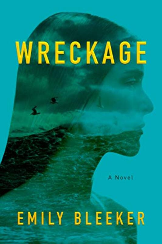 Book cover for "Wreckage" by Emily Bleeker