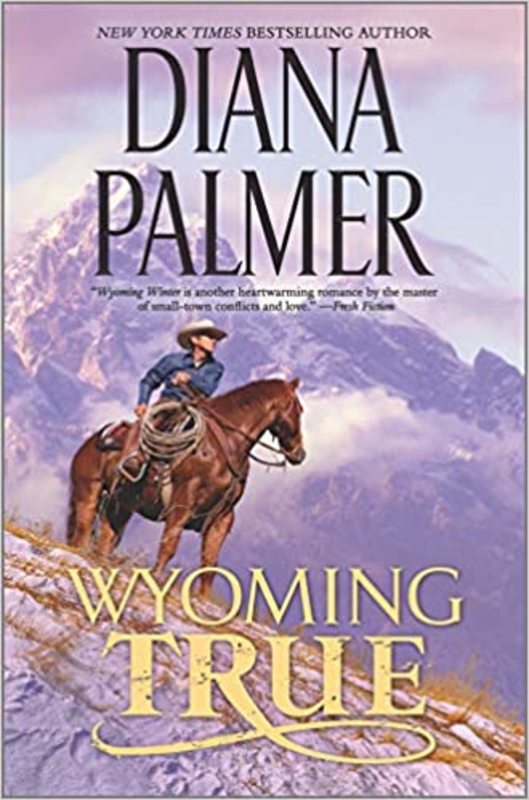 Wyoming Men book cover