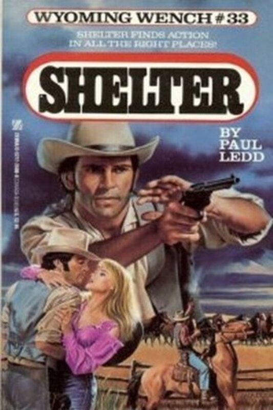 Shelter book cover