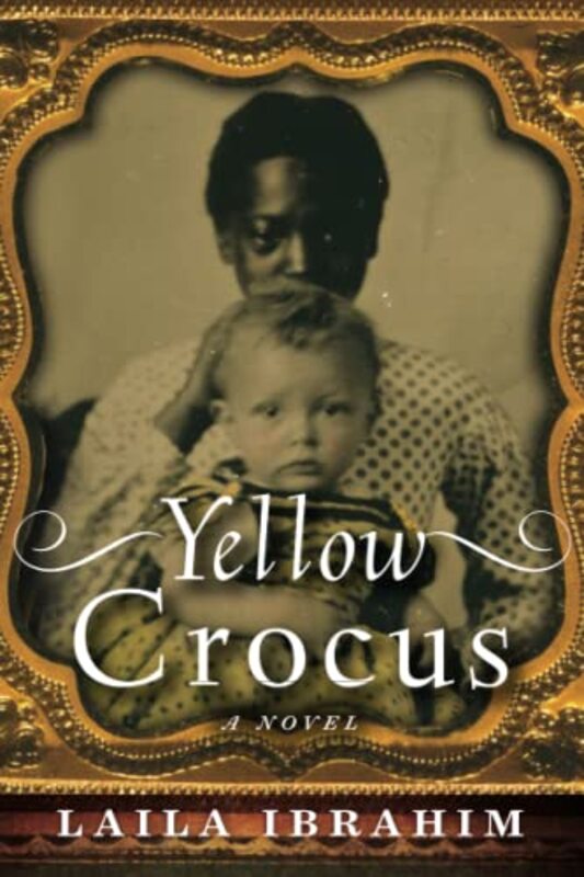 Freedman book cover