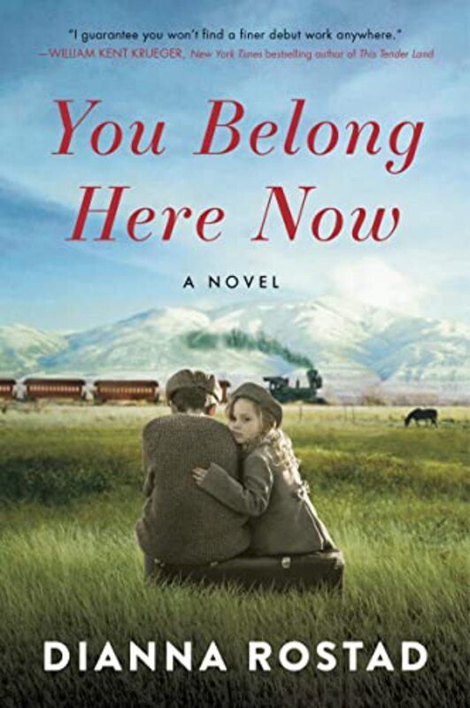 Dianna Rostad book cover
