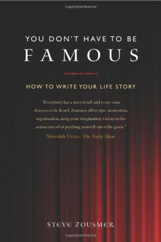 Steve Zousmer book cover