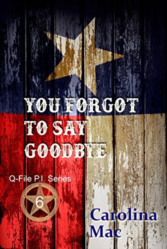 Book cover for "You Forgot to Say Goodbye" by Carolina Mac
