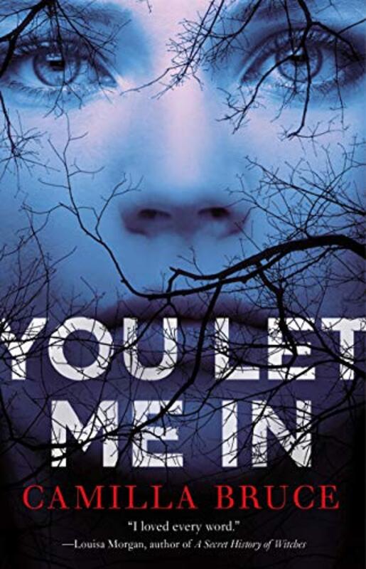 Book cover for "You Let Me In" by Camilla Bruce