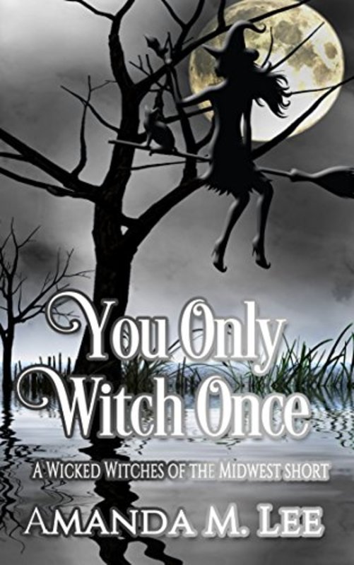 Book cover for "You Only Witch Once" by Amanda M. Lee