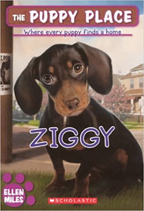 Book cover for "Ziggy" by Ellen Miles