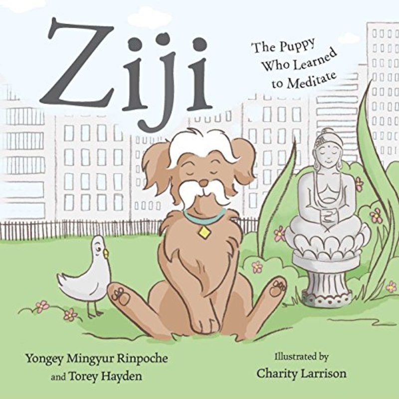 Book cover for "Ziji: The Puppy Who Learned to Meditate" by Torey Hayden