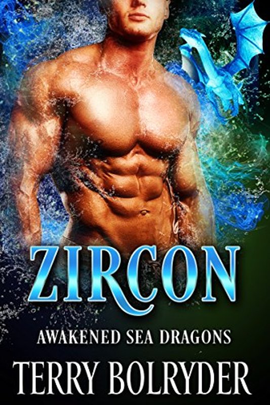 Book cover for "Zircon" by Terry Bolryder