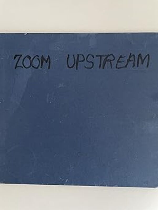 Book cover for "Zoom Upstream" by Tim Wynne Jones
