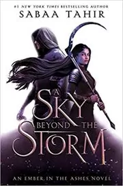 A ​Sky Beyond the Storm