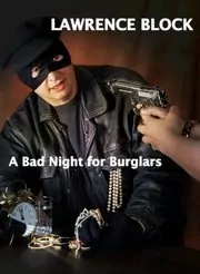 A Bad Night for Burglars
