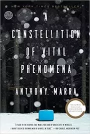 A Constellation of Vital Phenomena