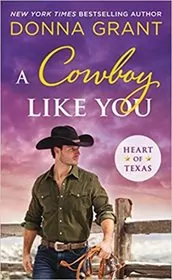 A Cowboy Like You