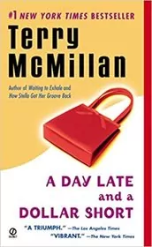 Book cover for "A Day Late and a Dollar Short" by Terry McMillan