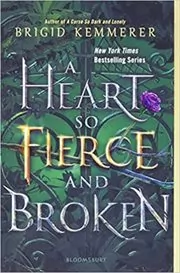 A Heart So Fierce and Broken