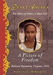 Book cover for "A Picture Of Freedom" by Patricia C McKissack