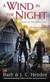 Book cover for "A Wind in the Night" by Barb Hendee