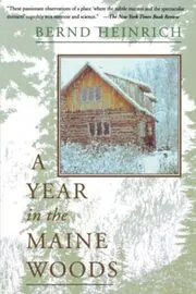 A Year in the Maine Woods