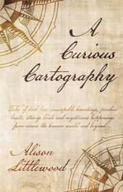 Alison Littlewood book cover