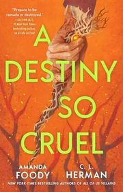 Amanda Foody book cover