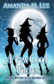 Amanda M Lee book cover