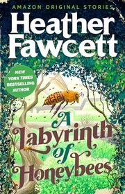 Heather Fawcett book cover