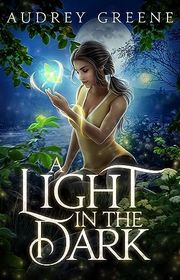 Book cover for "A Light in the Dark" by RJ Blain