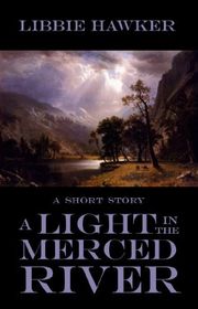 Book cover for "A Light in the Merced River" by Libbie Hawker