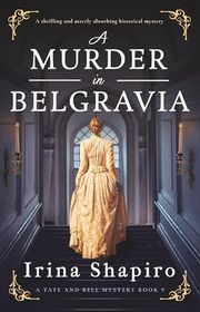 Irina Shapiro book cover