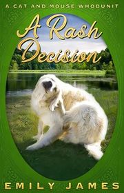 Book cover for "A Rash Decision"