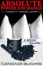 Book cover for "Absolute Power Exchange" by Candace Blevins
