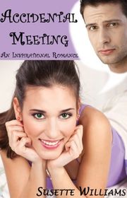 Book cover for "Accidental Meeting" by Susette Williams