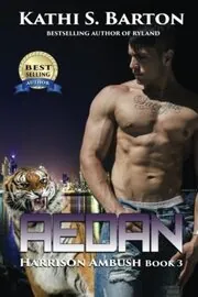 Book cover for "Aedan" by Kathi S Barton