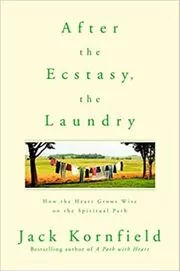 Book cover for "After the Ecstasy, the Laundry"