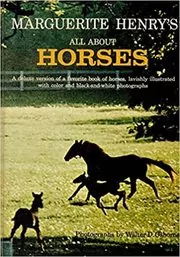 All About Horses