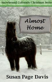Book cover for "Almost Home" by Susan Page Davis