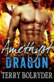 Book cover for "Amethyst Dragon" by Terry Bolryder