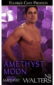 Book cover for "Amethyst Moon" by NJ Walters