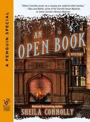 Book cover for "An Open Book" by Sheila Connolly