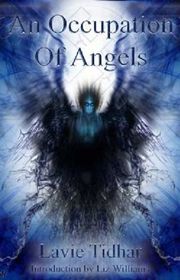 Book cover for "An Occupation of Angels" by Lavie Tidhar