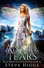 Steve Higgs book cover