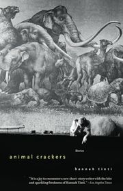 Hannah Tinti book cover