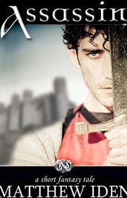 Book cover for "Assassin" by Matthew Iden