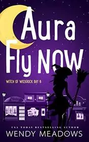 Book cover for "Aura Fly Now" by Wendy Meadows